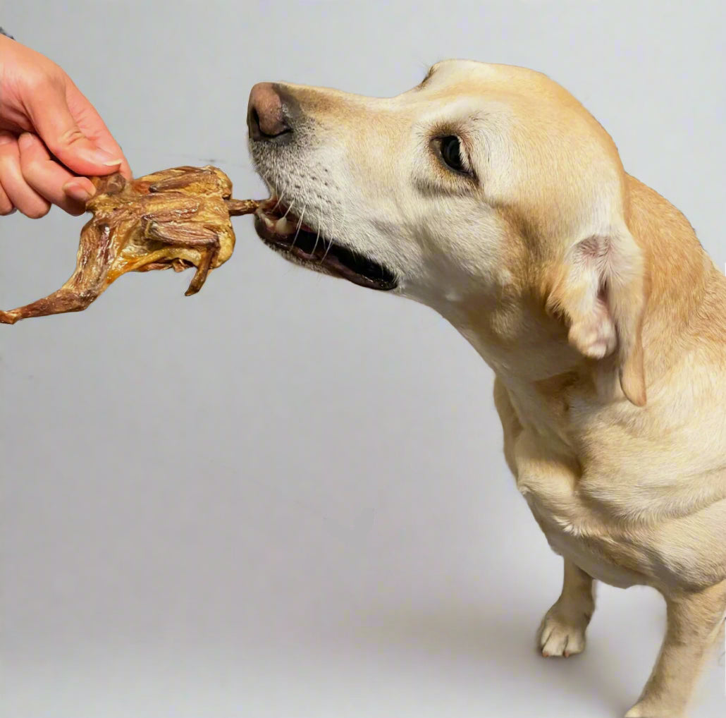 Dehydrated Whole Quail